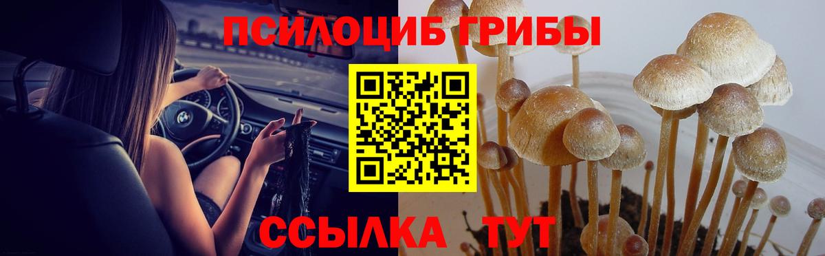 Галлюциногенные грибы мицелий  Вход с VPN  Димитровград 